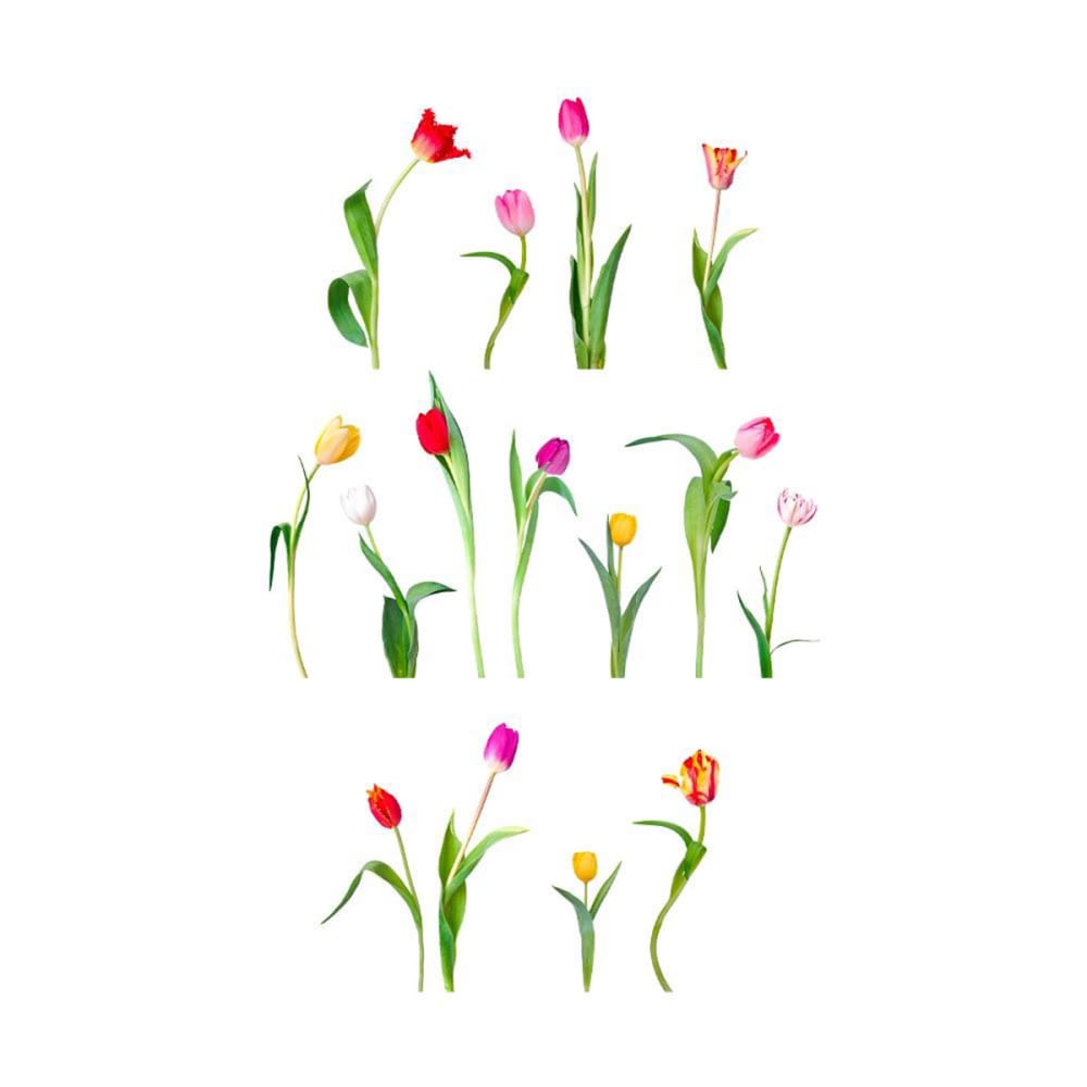 Sticker mural tulipes colorées 70 x 20 cm