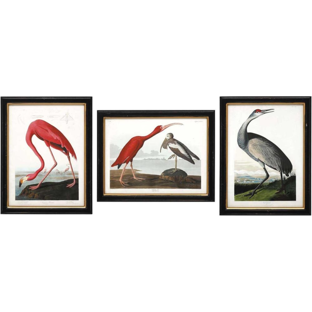 Ensemble de 3 cadres oiseaux