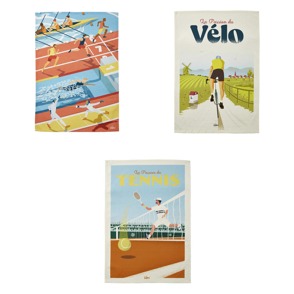 Lot de 3 torchons en coton mulitcolore 50x75