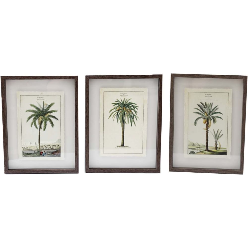 Ensemble de 3 cadres 30 x 40 cm palmiers