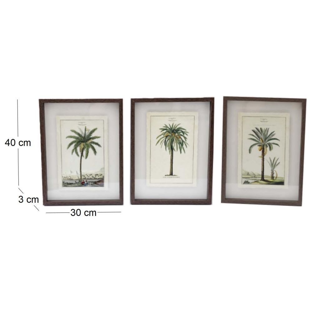 Ensemble de 3 cadres 30 x 40 cm palmiers — vue 3