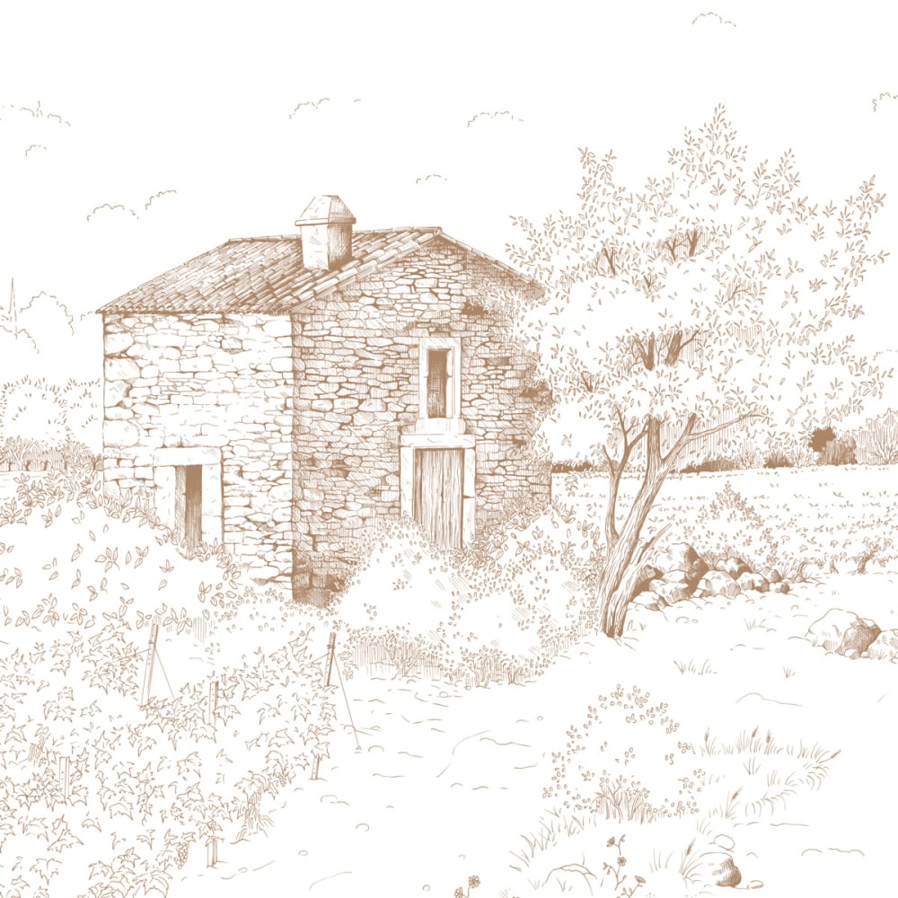 Papier peint promenade dans les vignes, brun 525 x 250cm — vue 4