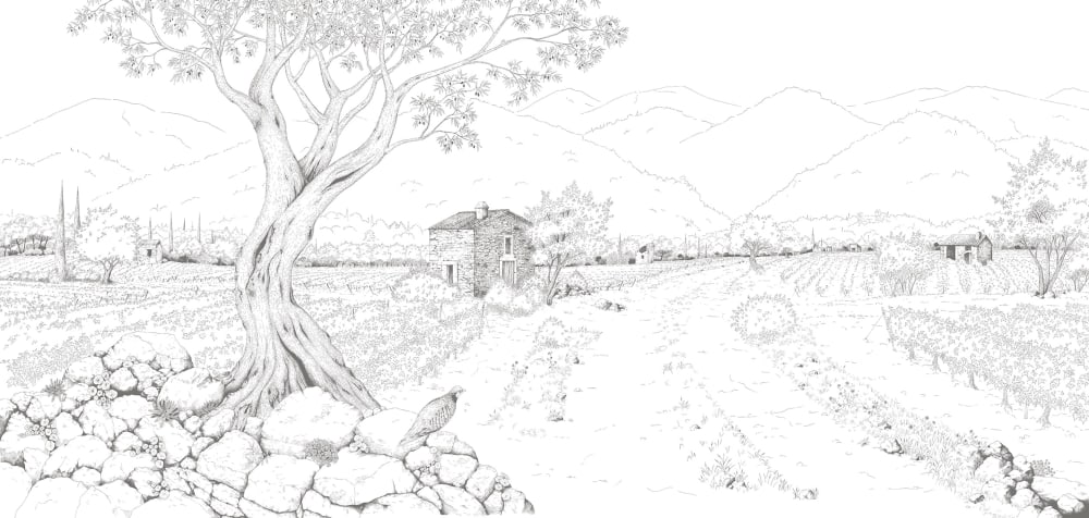 Papier peint promenade dans les vignes, gris 375 x 250cm — vue 3