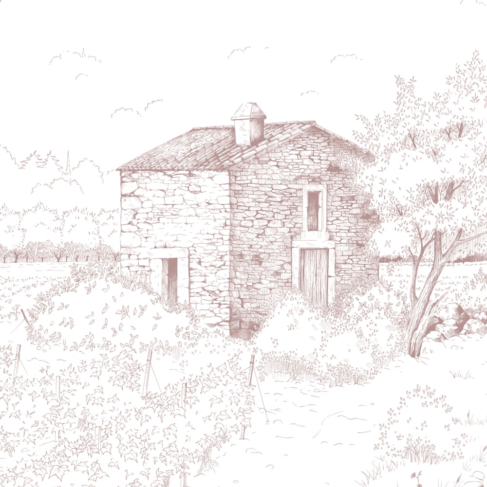 Papier peint promenade dans les vignes, rose 375 x 250cm — vue 4