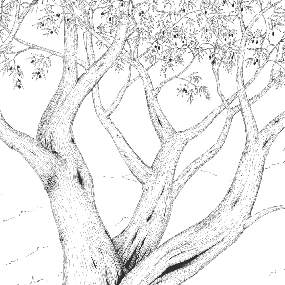 Papier peint promenade dans les vignes, noir 450 x 250cm — vue 3
