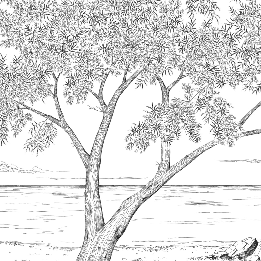 Papier peint la crique méditerranéenne, noir et blanc 450 x — vue 4
