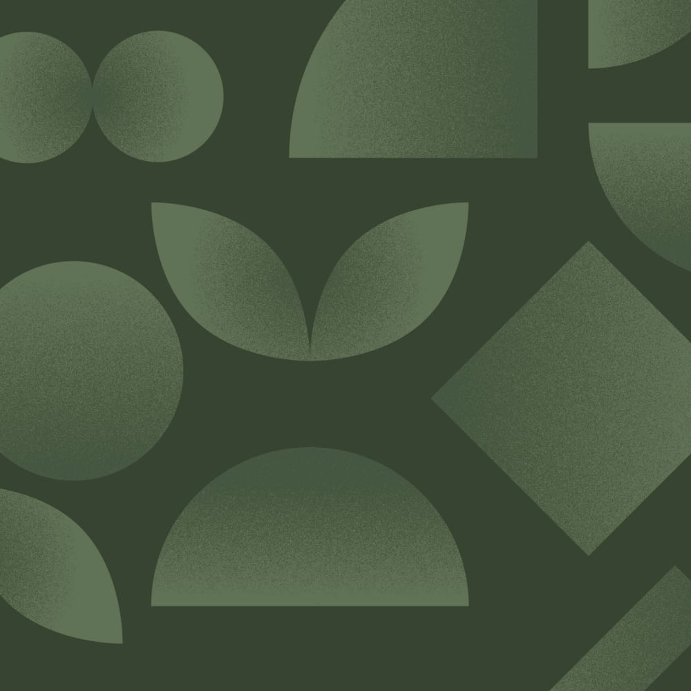 Papier peint kaleido, vert 375 x 250cm — vue 4