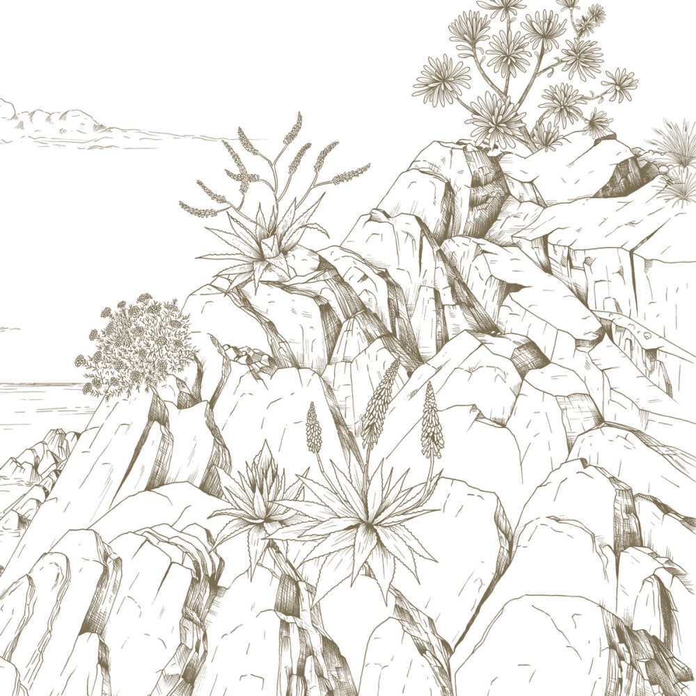 Papier peint la crique méditerranéenne, brun 375 x 250cm — vue 4
