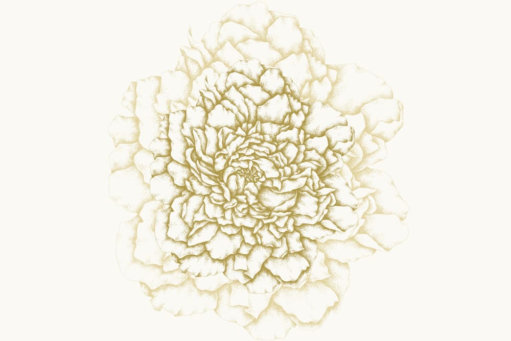 Papier peint cœur de pivoines, jaune 300 x 250cm — vue 3