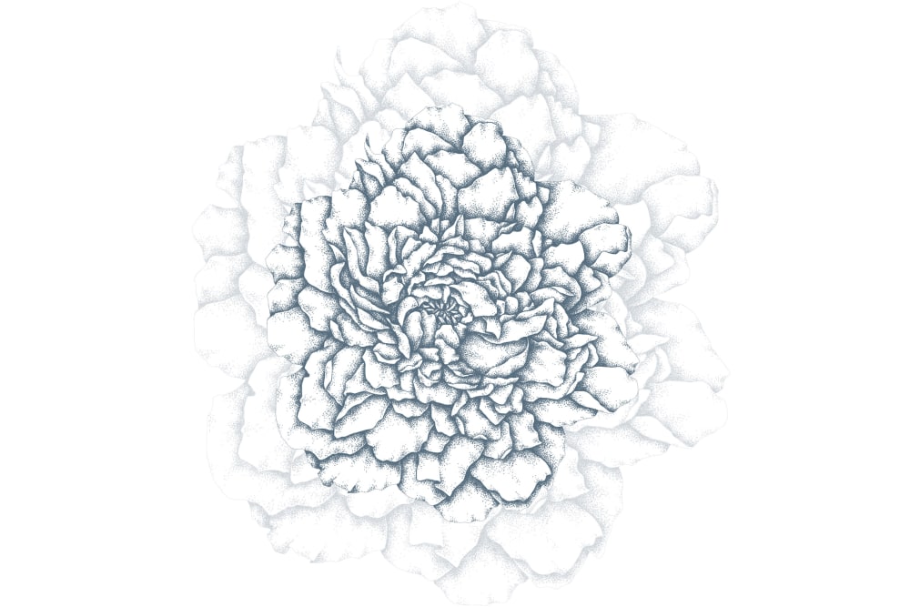 Papier peint cœur de pivoines, bleu 375 x 250cm — vue 3