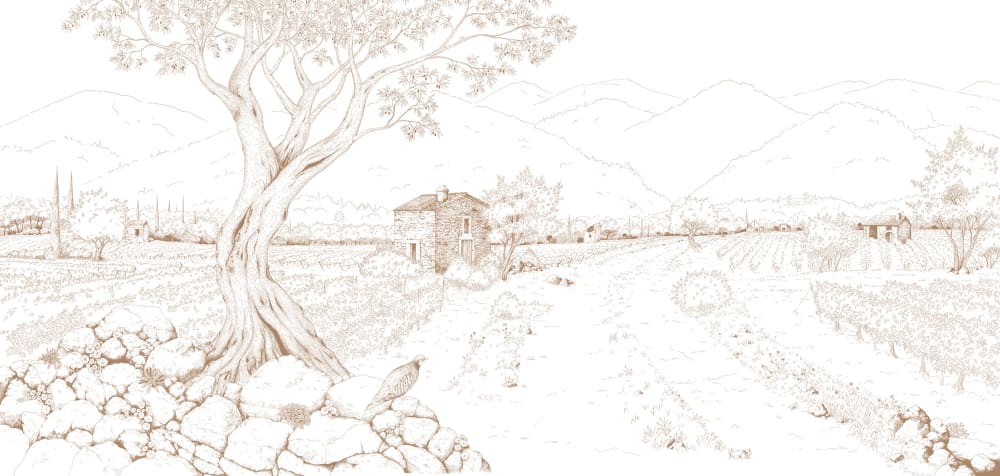 Papier peint promenade dans les vignes, brun 375 x 250cm — vue 4