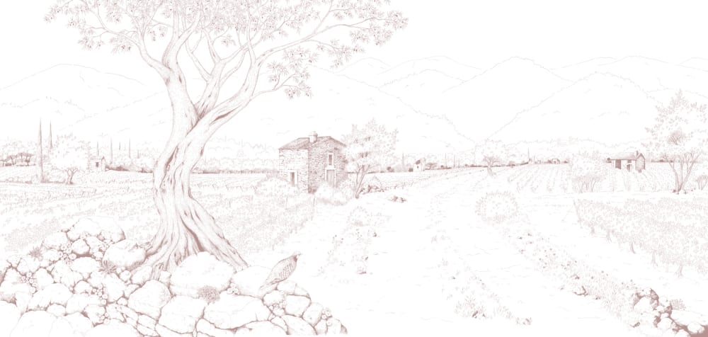 Papier peint promenade dans les vignes, rose 150 x 250cm — vue 3