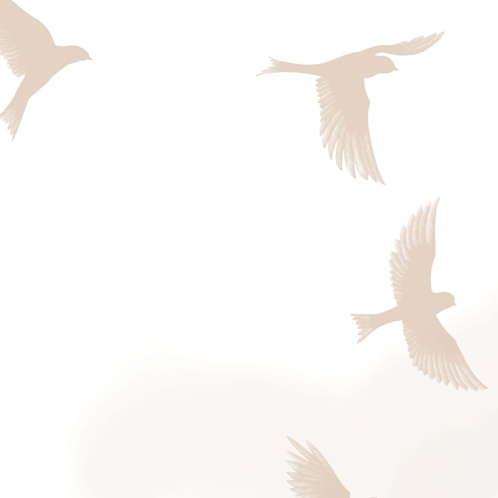 Papier peint murmuration, beige 150 x 250cm — vue 4