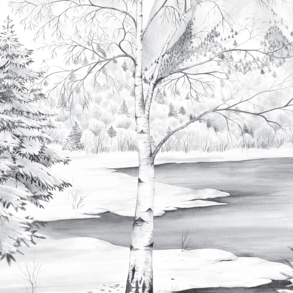Papier peint le lac de montagne, gris 375 x 250cm — vue 4