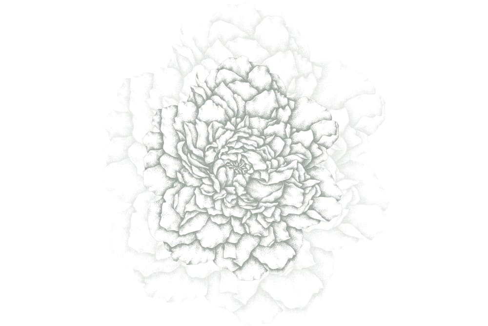 Papier peint cœur de pivoines, vert de gris 300 x 250cm — vue 3
