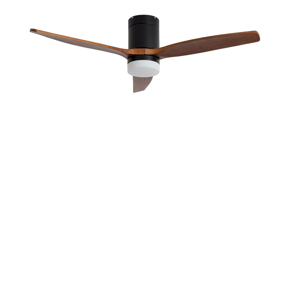 Ventilateur de plafond