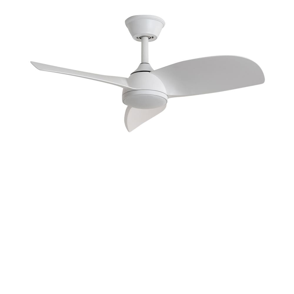 Ventilateur de plafond