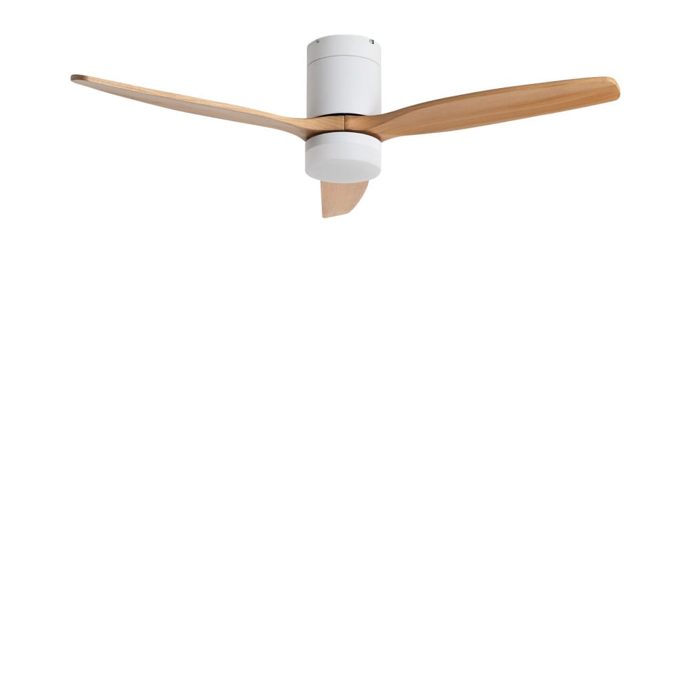 Ventilateur de plafond