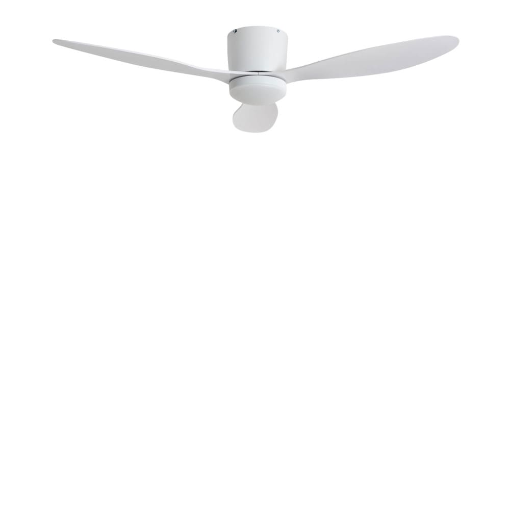 Ventilateur de plafond