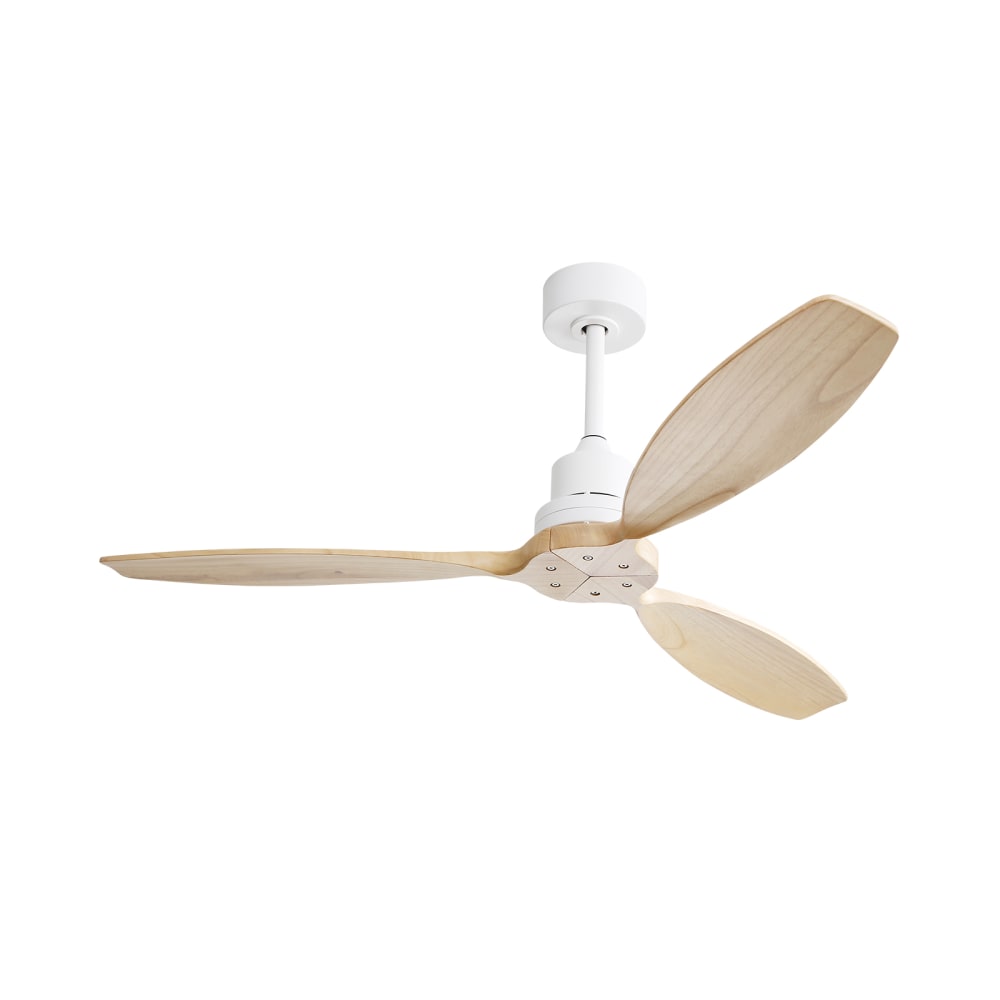 Ventilateur de plafond