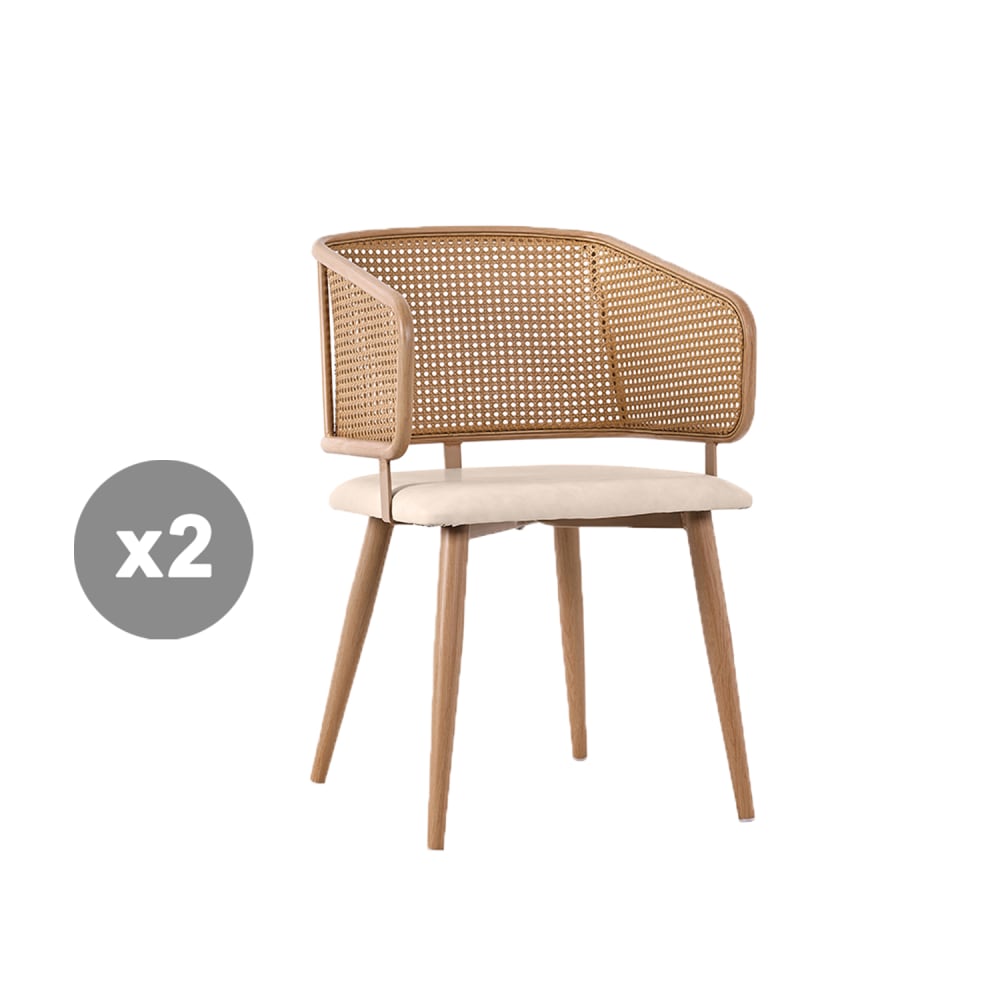 Lot 2 chaises salle