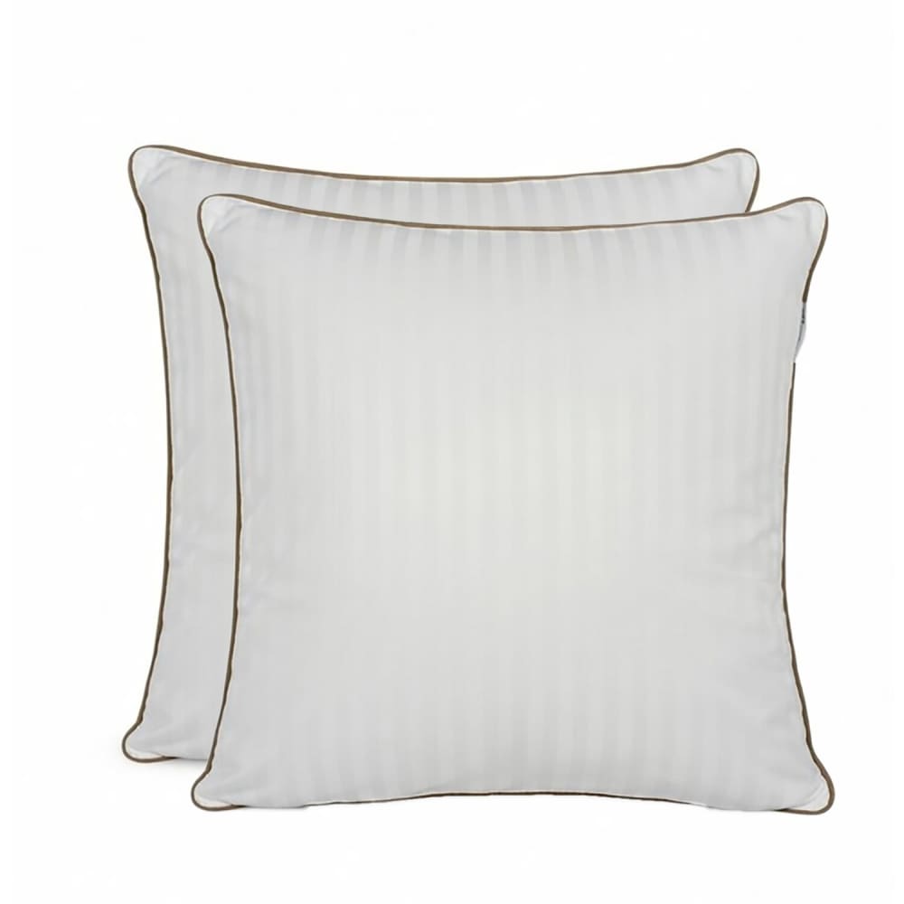 Lot de 2 oreillers en plume de canard 60x60 cm Lot de 2 oreillers en plume de canard 60x60 cm