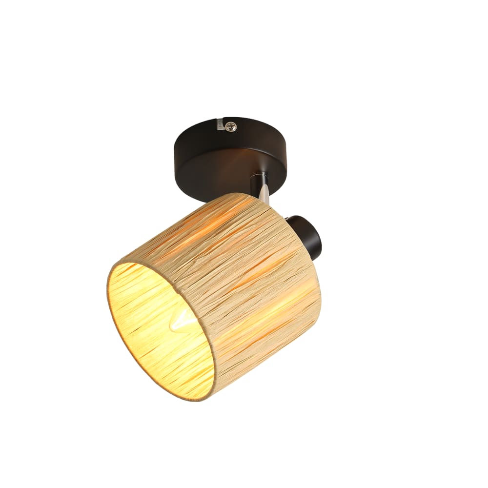 Spot de plafond en fer noir 15x14x16cm e14
