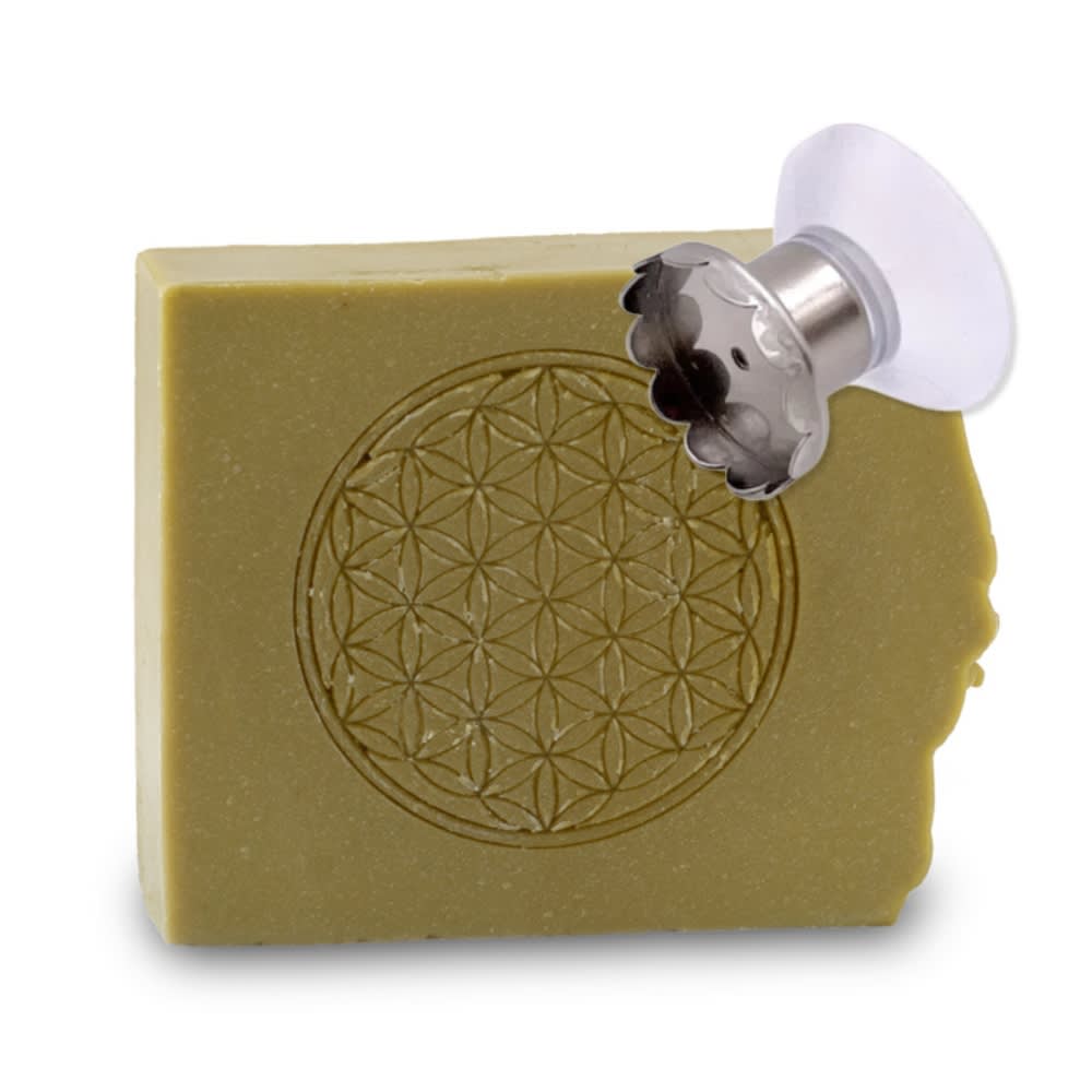 Sun & Sia Duo Bio-Festshampoo Blume des Lebens + Magnet-Halter Frankreich Grün Stahl