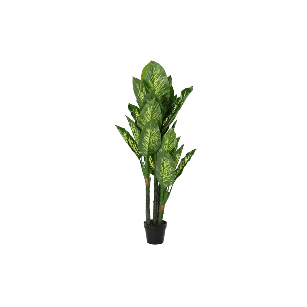 Plante dieffenbachia en polyéthylène verte 50x50x150 cm