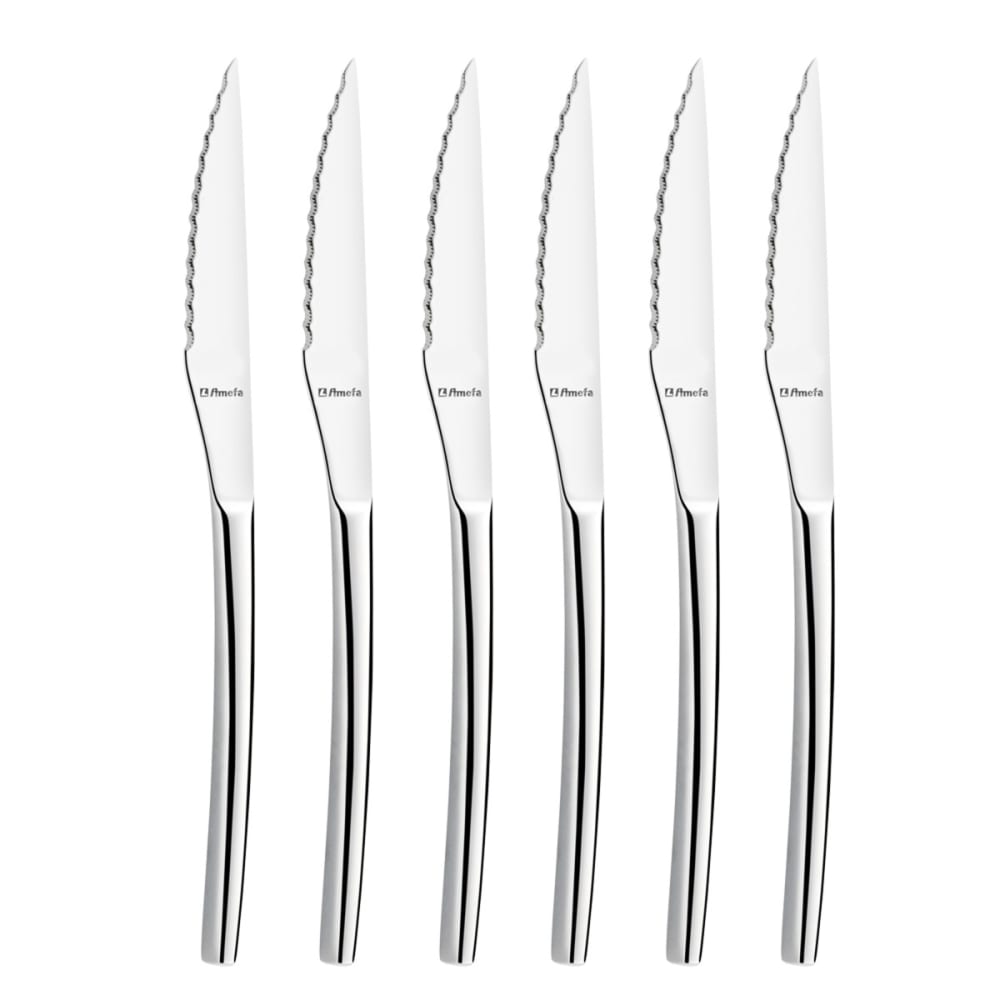 Coffret 6 couteaux steak
