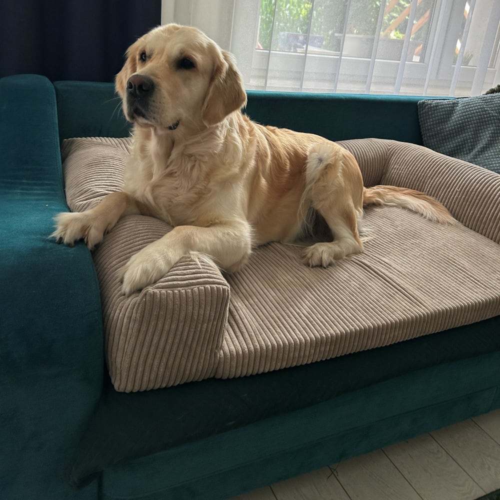 Hundematte aus Cord 130x85 cm, vanillebeige - Maisons Du Monde
