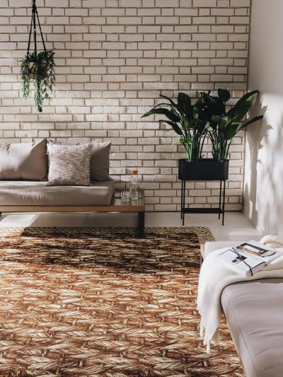 Tapis d'extérieur & intérieur crème/beige 160x235