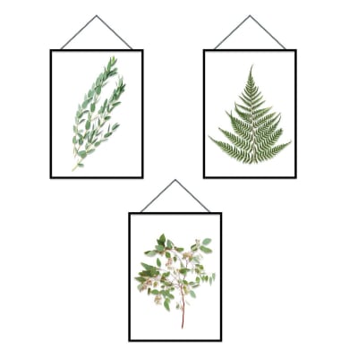 Autocollant mural cadres herbiers 49,5x47,5cm