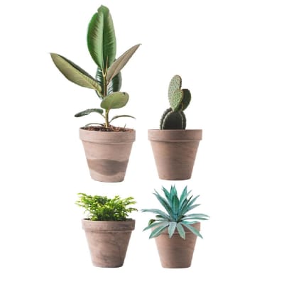Autocollant de vitre pots de plantes