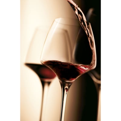 6 verres à pied universal tasting 40 cl