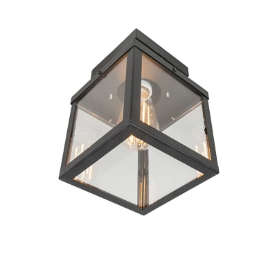 Plafonnier extérieur en acier inoxydable noir