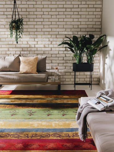 Tapis d'extérieur & intérieur multicouleur 240x340