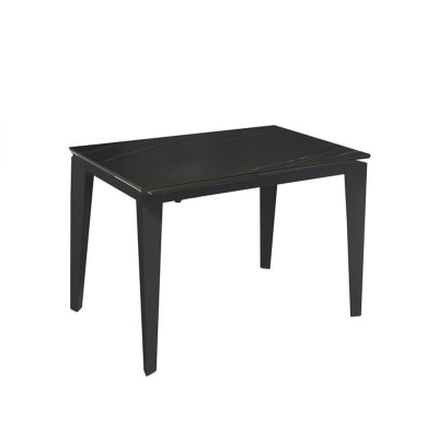 Table extensible avec plateau en céramique 120/170x80 cm
