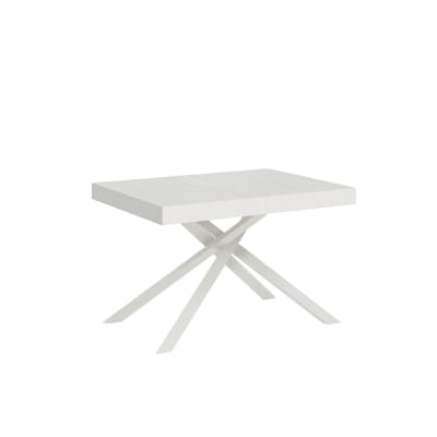 Table extensible 80x120/204 cm effet bois frêne blanc