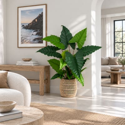 Alocasia artificiel toucher réel 150cm