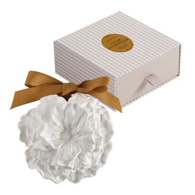 Grande fleur parfumée - fleur d'oranger