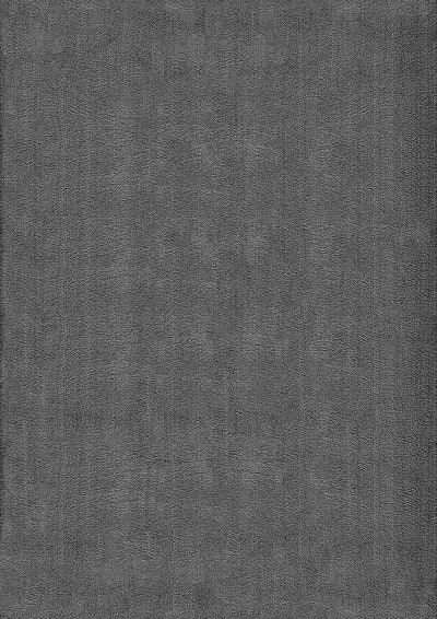 Tapis lavable et antidérapant, uni, anthracite, 240 x 340 cm