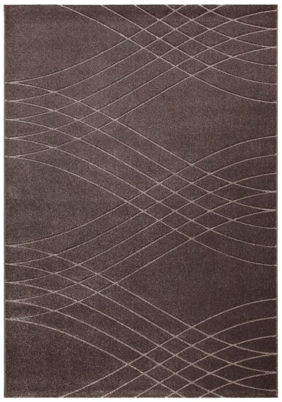 Tapis de salon moderne tissé plat Marron 120x160 cm