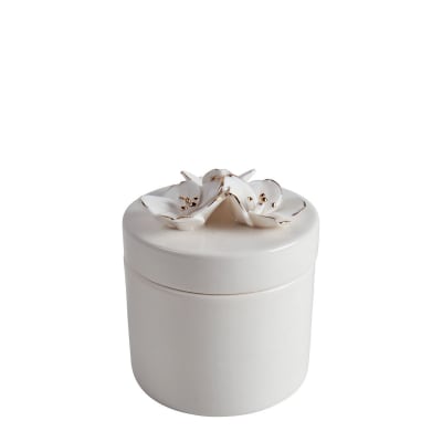 Pot à coton