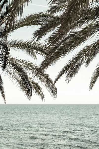 Tableau plage tropicale secrète imprimé sur toile 60x90 cm