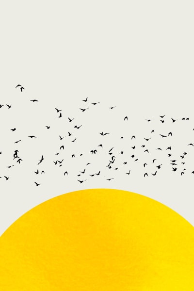 Tableau dessin mille oiseaux imprimé sur toile 60x90 cm
