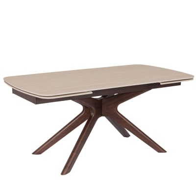 Table rectangulaire extensible céramique 6/10 places l170/250