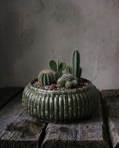 Pot grès forêt et vert 23,5x23,5x11cm