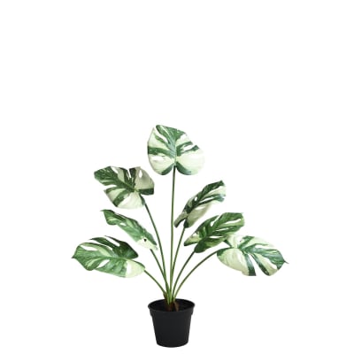 Monstera en pot artificiel vert h57