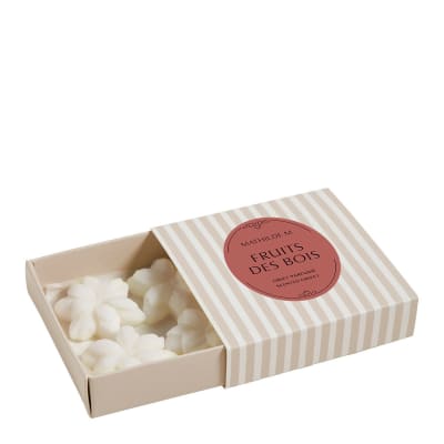 Coffret de 4 décors fondants en cire parfumée - fruits des bois